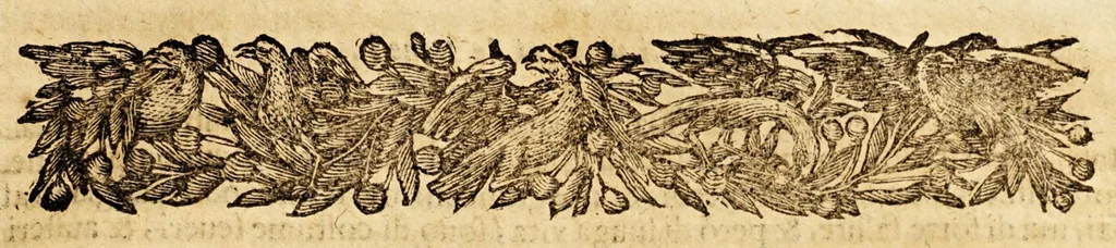 An illustration from Le descrittioni vniuersali et particolari del mondo, & delle republiche., 1660, leaf 721