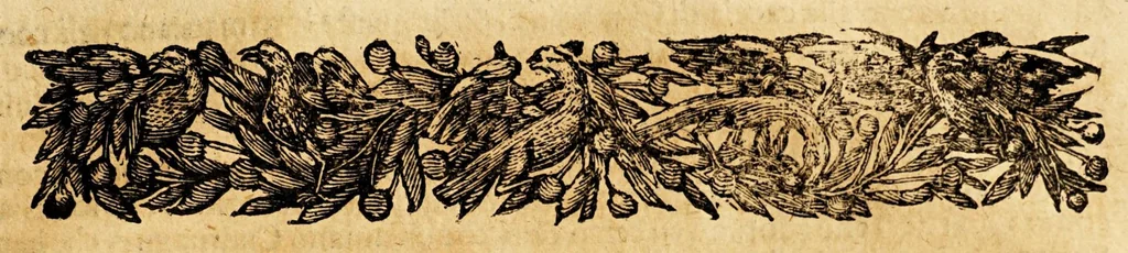 An illustration from Le descrittioni vniuersali et particolari del mondo, & delle republiche., 1660, leaf 885