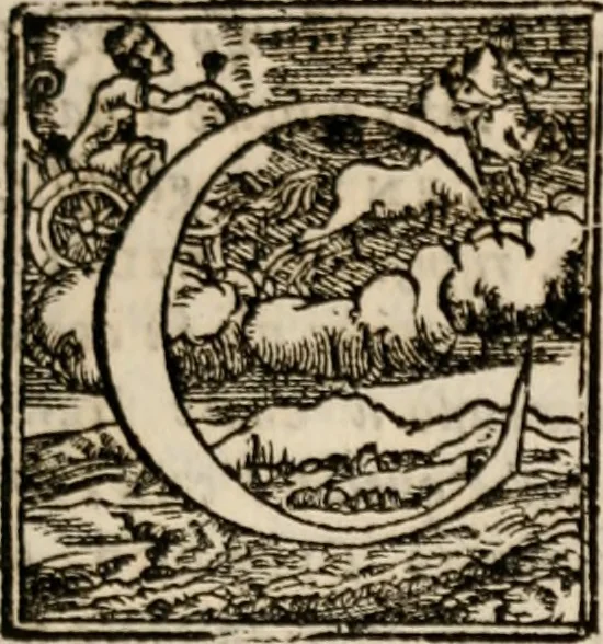 An illustration from Le diece veglie di Bartolomeo Arnigio, de gli ammendati costvmi dell' hvmana vita, nelle quali non sol si tratta di quelle vertù, ch'à uiuer nella luce de gli huomini, & di Dio bisogneuoli sono, 1577, leaf 386