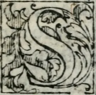 An illustration from Le dieci mascherate delle bvfole mandate in Firenze il giorno di carnouale l'anno 1565. : con la descrizzione di tutta la pompa delle maschere, e loro inuenzioni, 1566, leaf 24