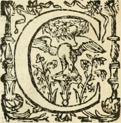 An illustration from Le due regole della prospettiua pratica, 1611, leaf 8