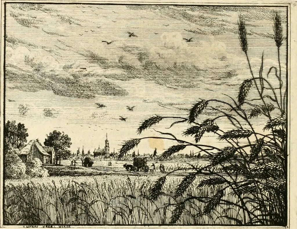 An illustration from Leerzaame zinnebeelden, 1714, leaf 207