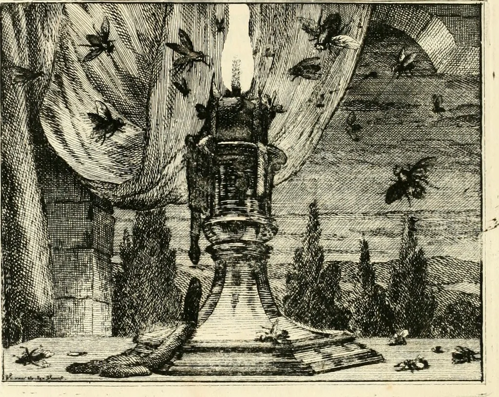 An illustration from Leerzaame zinnebeelden, 1714, leaf 41