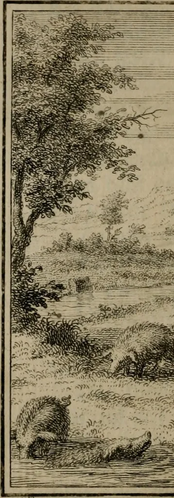 An illustration from Leerzaame zinnebeelden, 1757, leaf 441