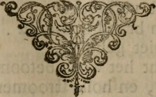 An illustration from Leerzaame zinnebeelden, 1757, leaf 475