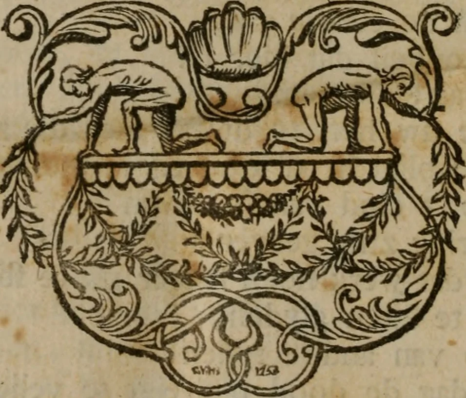 An illustration from Leerzaame zinnebeelden, 1757, leaf 505