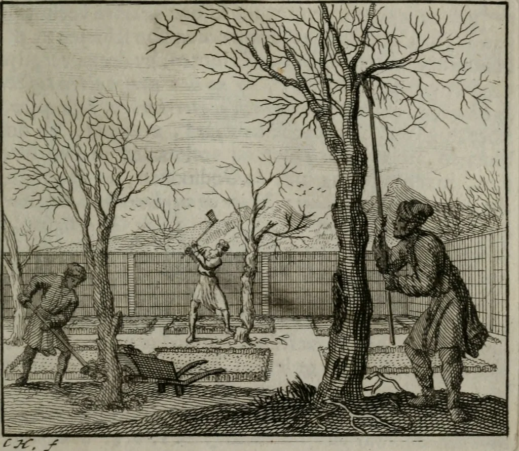 An illustration from Leerzame zinnebeelden : bestaande in christelyke bedenkingen door vergelykinge eeniger schepfelen ..., 1704, leaf 218