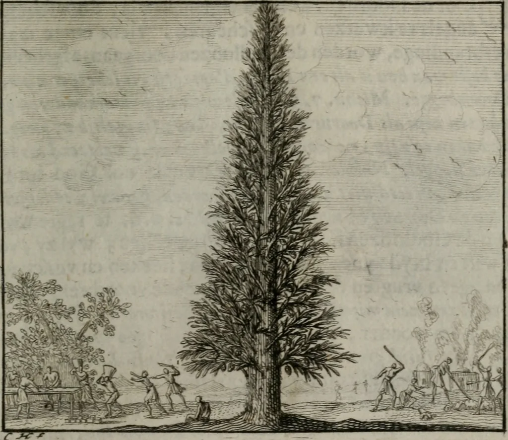 An illustration from Leerzame zinnebeelden : bestaande in christelyke bedenkingen door vergelykinge eeniger schepfelen ..., 1704, leaf 226