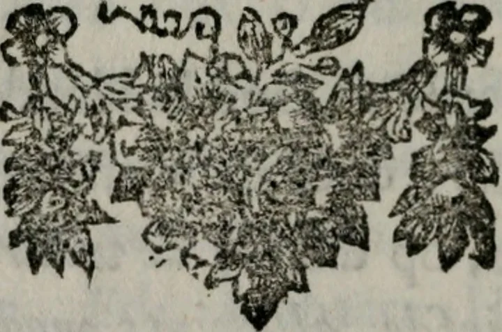An illustration from Leerzame zinnebeelden : bestaande in christelyke bedenkingen door vergelykinge eeniger schepfelen ..., 1704, leaf 25