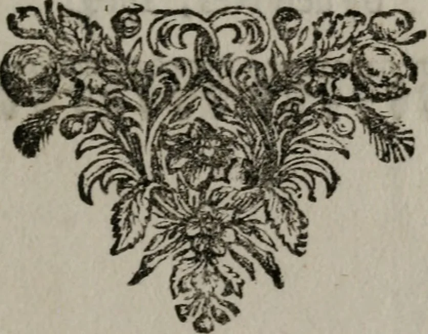 An illustration from Leerzame zinnebeelden : bestaande in christelyke bedenkingen door vergelykinge eeniger schepfelen ..., 1704, leaf 262