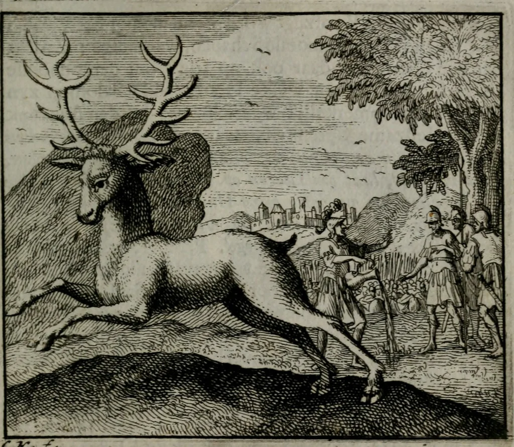 An illustration from Leerzame zinnebeelden : bestaande in christelyke bedenkingen door vergelykinge eeniger schepfelen ..., 1704, leaf 82