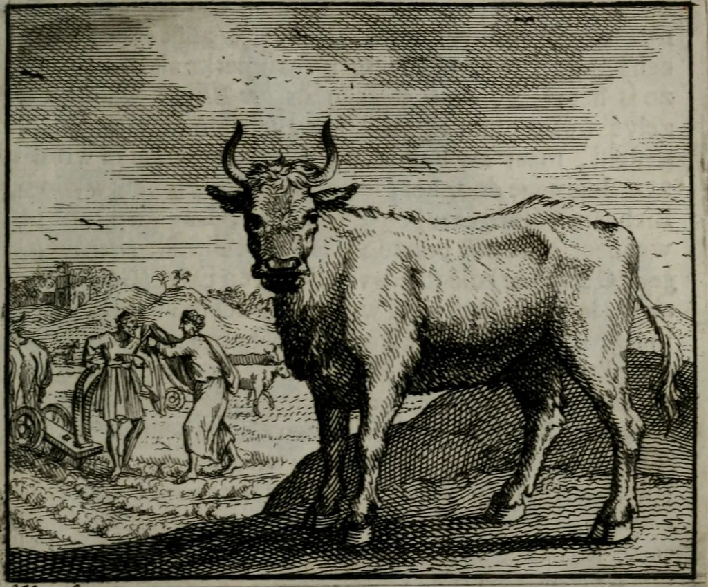 An illustration from Leerzame zinnebeelden : bestaande in christelyke bedenkingen door vergelykinge eeniger schepfelen ..., 1704, leaf 96