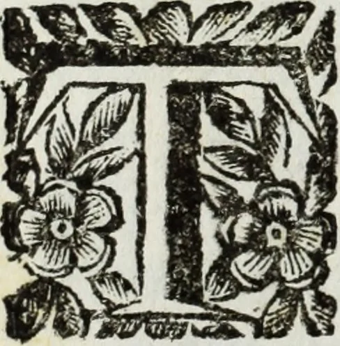 An illustration from Le essequie celebratesi nella chiesa delle MM. RR. Madri di S. Orsola di Mantoua : d'ordine della serenissima signora arciduchessa Isabella Clara d' Austria, duchessa di Mantoua, Monferrato, &c., per la morte dell' imperatrice augustissima Claudia Felice lei nipote, 1676, leaf 31
