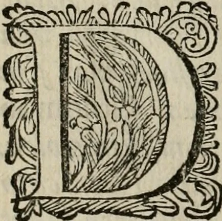 An illustration from Leeven en daden der doorluchtighste zee-helden en ontdeckers van landen deser eeuwen : beginnende met Christoffel Colombus, vinder van de nieuwe wereldt, en eyndigende met den roemruchtigen admirael M.A. de Ruyter, Ridd. &c. : vertoonende veel vreemde voorvallen, dappere verrichtingen, stoutmoedige bestieringen, en swaere zee-slagen, &c. : naeukeurigh, uyt veele geloofwaerdige schriften, en authentijcke stucken, by een gebracht, en beschreven, 1676, leaf 21