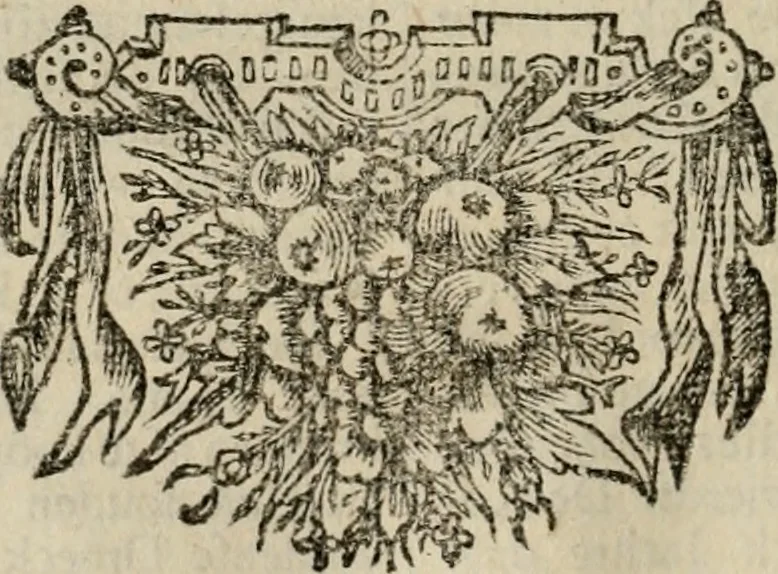 An illustration from Leeven en daden der doorluchtighste zee-helden en ontdeckers van landen deser eeuwen : beginnende met Christoffel Colombus, vinder van de nieuwe wereldt, en eyndigende met den roemruchtigen admirael M.A. de Ruyter, Ridd. &c. : vertoonende veel vreemde voorvallen, dappere verrichtingen, stoutmoedige bestieringen, en swaere zee-slagen, &c. : naeukeurigh, uyt veele geloofwaerdige schriften, en authentijcke stucken, by een gebracht, en beschreven, 1676, leaf 301