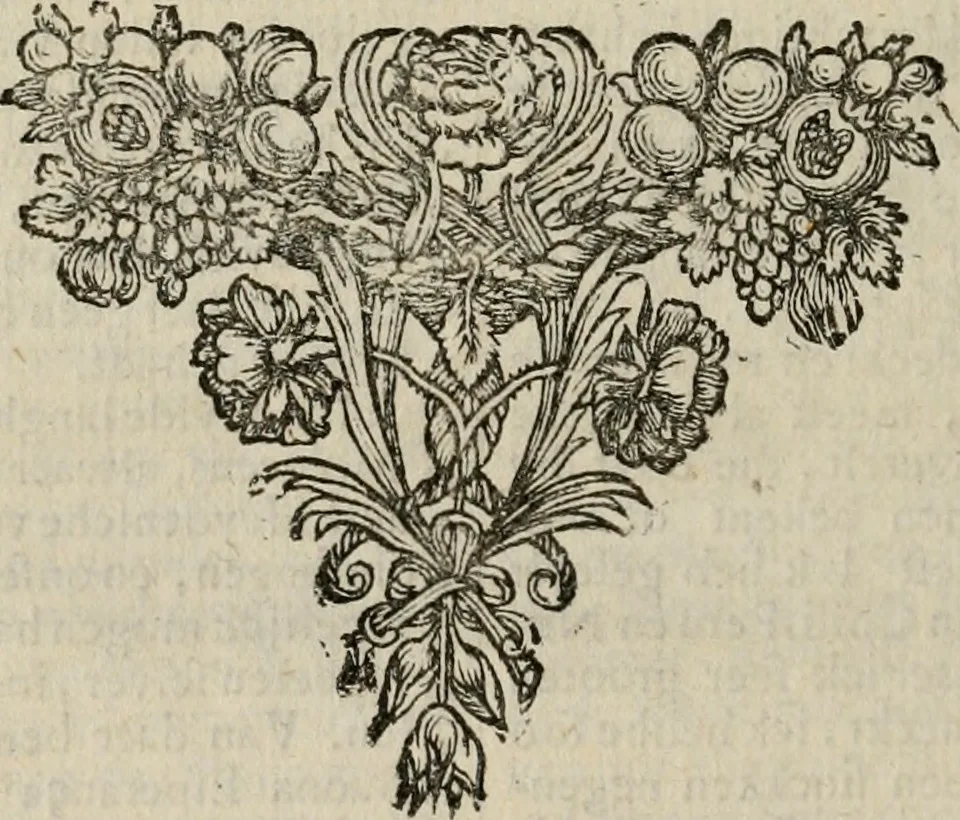 An illustration from Leeven en daden der doorluchtighste zee-helden en ontdeckers van landen deser eeuwen : beginnende met Christoffel Colombus, vinder van de nieuwe wereldt, en eyndigende met den roemruchtigen admirael M.A. de Ruyter, Ridd. &c. : vertoonende veel vreemde voorvallen, dappere verrichtingen, stoutmoedige bestieringen, en swaere zee-slagen, &c. : naeukeurigh, uyt veele geloofwaerdige schriften, en authentijcke stucken, by een gebracht, en beschreven, 1676, leaf 315