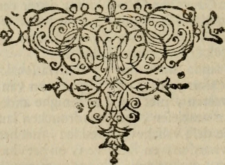 An illustration from Leeven en daden der doorluchtighste zee-helden en ontdeckers van landen deser eeuwen : beginnende met Christoffel Colombus, vinder van de nieuwe wereldt, en eyndigende met den roemruchtigen admirael M.A. de Ruyter, Ridd. &c. : vertoonende veel vreemde voorvallen, dappere verrichtingen, stoutmoedige bestieringen, en swaere zee-slagen, &c. : naeukeurigh, uyt veele geloofwaerdige schriften, en authentijcke stucken, by een gebracht, en beschreven, 1676, leaf 393
