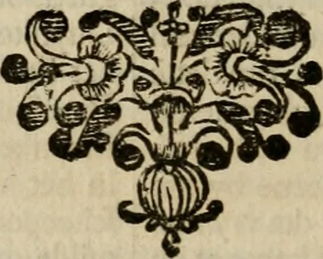 An illustration from Leeven en daden der doorluchtighste zee-helden en ontdeckers van landen deser eeuwen : beginnende met Christoffel Colombus, vinder van de nieuwe wereldt, en eyndigende met den roemruchtigen admirael M.A. de Ruyter, Ridd. &c. : vertoonende veel vreemde voorvallen, dappere verrichtingen, stoutmoedige bestieringen, en swaere zee-slagen, &c. : naeukeurigh, uyt veele geloofwaerdige schriften, en authentijcke stucken, by een gebracht, en beschreven, 1676, leaf 473