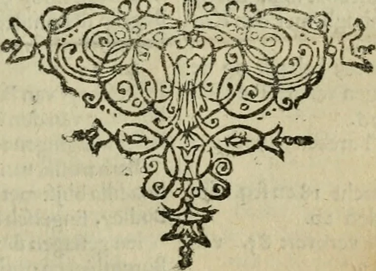 An illustration from Leeven en daden der doorluchtighste zee-helden en ontdeckers van landen deser eeuwen : beginnende met Christoffel Colombus, vinder van de nieuwe wereldt, en eyndigende met den roemruchtigen admirael M.A. de Ruyter, Ridd. &c. : vertoonende veel vreemde voorvallen, dappere verrichtingen, stoutmoedige bestieringen, en swaere zee-slagen, &c. : naeukeurigh, uyt veele geloofwaerdige schriften, en authentijcke stucken, by een gebracht, en beschreven, 1676, leaf 728