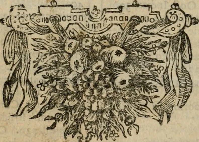 An illustration from Leeven en daden der doorluchtighste zee-helden en ontdeckers van landen deser eeuwen : beginnende met Christoffel Colombus, vinder van de nieuwe wereldt, en eyndigende met den roemruchtigen admirael M.A. de Ruyter, Ridd. &c. : vertoonende veel vreemde voorvallen, dappere verrichtingen, stoutmoedige bestieringen, en swaere zee-slagen, &c. : naeukeurigh, uyt veele geloofwaerdige schriften, en authentijcke stucken, by een gebracht, en beschreven, 1676, leaf 735