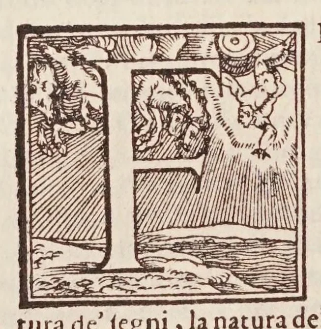 An illustration from L'efemeridi di M. Gioseppe Moleto ... per anni XVIII : lequali cominciano dall'anno corrente di Cristo Saluatore, 1563, & si terminano alla fine dell'anno 1580 : con ogni diligenza, al meridiano della magnifica & felice città di Vinegia calculate : aggiuntoui i Canoni, ò introduttioni chiarissimamente scritte in lingua italiana, & diuise in sei libri : ne' quali, oltre il modo di oprare le dette efemeridi si trattano tutte le uere regole della scienza astrologica ... --, 1563, leaf 180