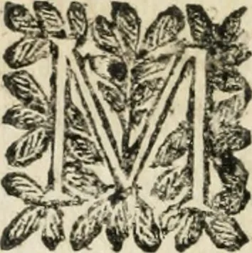 An illustration from Le finezze de pennelli italiani, ammirate, e studiate da Girupeno sotto la scorta, e disciplina del genio di Raffaello d'Vrbino : con vna curiosa, ed'attentissima osseruatione di tutto ciò, che facilmente possa riuscire d'vtile, e di diletto à chi desidera rendersi perfetto nella teorica, e prattica della nobil'arte della pittura, 1674, leaf 13