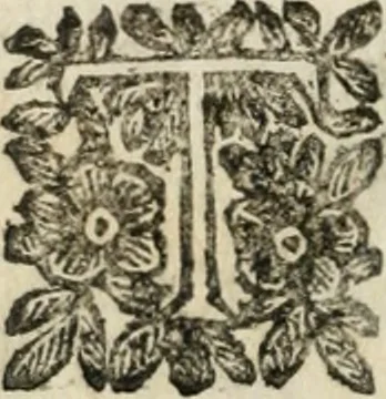 An illustration from Le finezze de pennelli italiani, ammirate, e studiate da Girupeno sotto la scorta, e disciplina del genio di Raffaello d'Vrbino : con vna curiosa, ed'attentissima osseruatione di tutto ciò, che facilmente possa riuscire d'vtile, e di diletto à chi desidera rendersi perfetto nella teorica, e prattica della nobil'arte della pittura, 1674, leaf 15