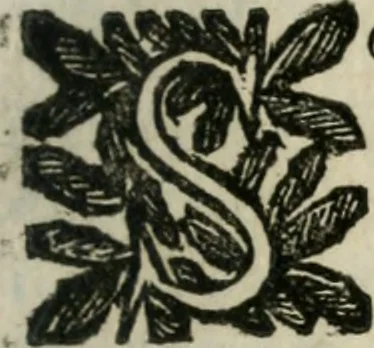 An illustration from Le finezze de pennelli italiani, ammirate, e studiate da Girupeno sotto la scorta, e disciplina del genio di Raffaello d'Vrbino : con vna curiosa, ed'attentissima osseruatione di tutto ciò, che facilmente possa riuscire d'vtile, e di diletto à chi desidera rendersi perfetto nella teorica, e prattica della nobil'arte della pittura, 1674, leaf 16