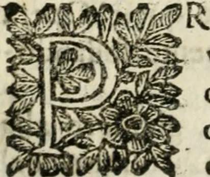 An illustration from Le finezze de pennelli italiani, ammirate, e studiate da Girupeno sotto la scorta, e disciplina del genio di Raffaello d'Vrbino : con vna curiosa, ed'attentissima osseruatione di tutto ciò, che facilmente possa riuscire d'vtile, e di diletto à chi desidera rendersi perfetto nella teorica, e prattica della nobil'arte della pittura, 1674, leaf 197