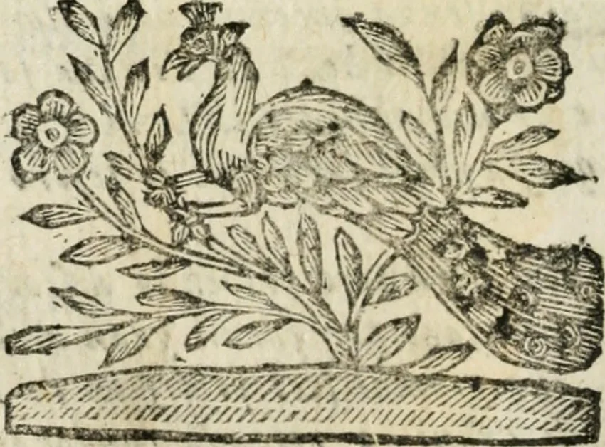 An illustration from Le finezze de pennelli italiani, ammirate, e studiate da Girupeno sotto la scorta, e disciplina del genio di Raffaello d'Vrbino : con vna curiosa, ed'attentissima osseruatione di tutto ciò, che facilmente possa riuscire d'vtile, e di diletto à chi desidera rendersi perfetto nella teorica, e prattica della nobil'arte della pittura, 1674, leaf 21