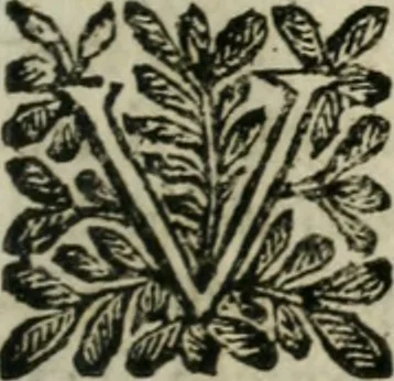 An illustration from Le finezze de pennelli italiani, ammirate, e studiate da Girupeno sotto la scorta, e disciplina del genio di Raffaello d'Vrbino : con vna curiosa, ed'attentissima osseruatione di tutto ciò, che facilmente possa riuscire d'vtile, e di diletto à chi desidera rendersi perfetto nella teorica, e prattica della nobil'arte della pittura, 1674, leaf 216