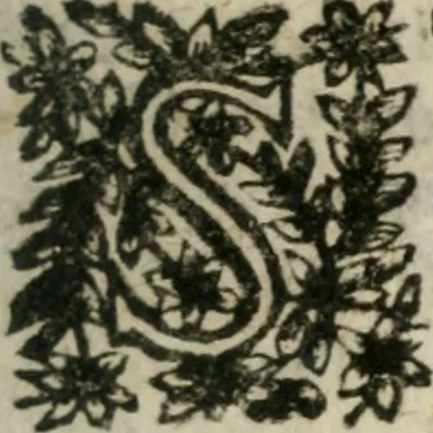 An illustration from Le finezze de pennelli italiani, ammirate, e studiate da Girupeno sotto la scorta, e disciplina del genio di Raffaello d'Vrbino : con vna curiosa, ed'attentissima osseruatione di tutto ciò, che facilmente possa riuscire d'vtile, e di diletto à chi desidera rendersi perfetto nella teorica, e prattica della nobil'arte della pittura, 1674, leaf 24