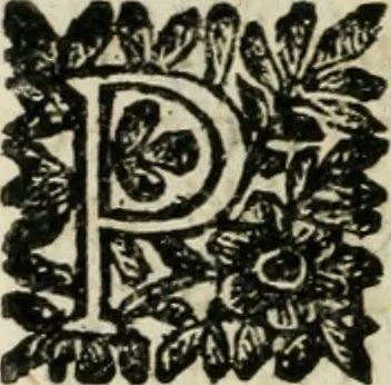 An illustration from Le finezze de pennelli italiani, ammirate, e studiate da Girupeno sotto la scorta, e disciplina del genio di Raffaello d'Vrbino : con vna curiosa, ed'attentissima osseruatione di tutto ciò, che facilmente possa riuscire d'vtile, e di diletto à chi desidera rendersi perfetto nella teorica, e prattica della nobil'arte della pittura, 1674, leaf 43