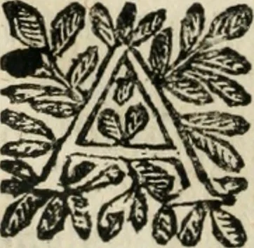 An illustration from Le finezze de pennelli italiani, ammirate, e studiate da Girupeno sotto la scorta, e disciplina del genio di Raffaello d'Vrbino : con vna curiosa, ed'attentissima osseruatione di tutto ciò, che facilmente possa riuscire d'vtile, e di diletto à chi desidera rendersi perfetto nella teorica, e prattica della nobil'arte della pittura, 1674, leaf 51
