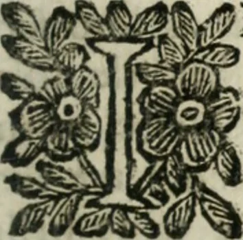 An illustration from Le finezze de pennelli italiani, ammirate, e studiate da Girupeno sotto la scorta, e disciplina del genio di Raffaello d'Vrbino : con vna curiosa, ed'attentissima osseruatione di tutto ciò, che facilmente possa riuscire d'vtile, e di diletto à chi desidera rendersi perfetto nella teorica, e prattica della nobil'arte della pittura, 1674, leaf 66