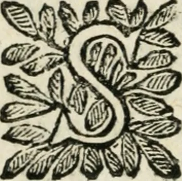 An illustration from Le finezze de pennelli italiani, ammirate, e studiate da Girupeno sotto la scorta, e disciplina del genio di Raffaello d'Vrbino : con vna curiosa, ed'attentissima osseruatione di tutto ciò, che facilmente possa riuscire d'vtile, e di diletto à chi desidera rendersi perfetto nella teorica, e prattica della nobil'arte della pittura, 1674, leaf 89