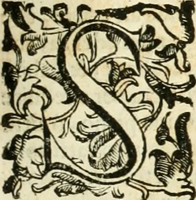 An illustration from Le fortificationi di Buonaiuto Lorini, nobile fiorentino ... : con l'aggiunta del sesto libro doue si mostra, con la scienza e con la pratica, l'ordine di fortificare le città & altri luoghi, con tutti gli auuertimenti, che più possono apportar benficio per la sicurtà delle fortezze .., 1609, leaf 124