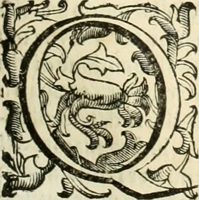 An illustration from Le fortificationi di Buonaiuto Lorini, nobile fiorentino ... : con l'aggiunta del sesto libro doue si mostra, con la scienza e con la pratica, l'ordine di fortificare le città & altri luoghi, con tutti gli auuertimenti, che più possono apportar benficio per la sicurtà delle fortezze .., 1609, leaf 130