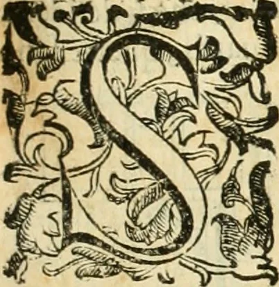 An illustration from Le fortificationi di Buonaiuto Lorini, nobile fiorentino ... : con l'aggiunta del sesto libro doue si mostra, con la scienza e con la pratica, l'ordine di fortificare le città & altri luoghi, con tutti gli auuertimenti, che più possono apportar benficio per la sicurtà delle fortezze .., 1609, leaf 140