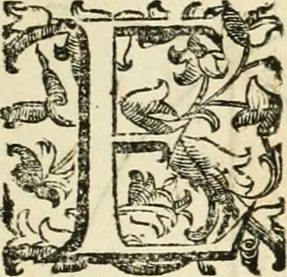 An illustration from Le fortificationi di Buonaiuto Lorini, nobile fiorentino ... : con l'aggiunta del sesto libro doue si mostra, con la scienza e con la pratica, l'ordine di fortificare le città & altri luoghi, con tutti gli auuertimenti, che più possono apportar benficio per la sicurtà delle fortezze .., 1609, leaf 16