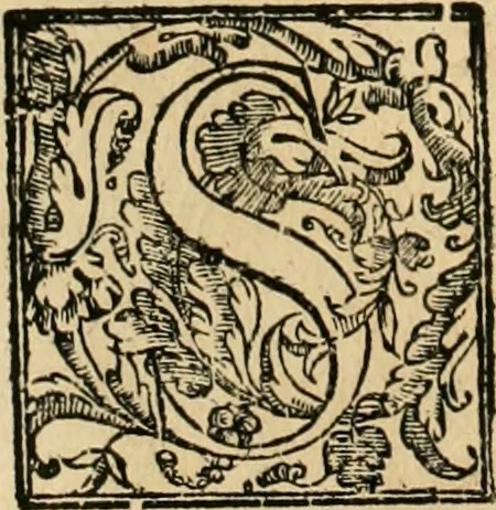 An illustration from Le fortificationi di Buonaiuto Lorini, nobile fiorentino ... : con l'aggiunta del sesto libro doue si mostra, con la scienza e con la pratica, l'ordine di fortificare le città & altri luoghi, con tutti gli auuertimenti, che più possono apportar benficio per la sicurtà delle fortezze .., 1609, leaf 165