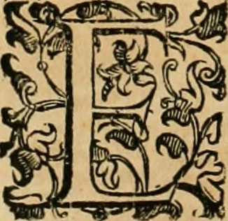 An illustration from Le fortificationi di Buonaiuto Lorini, nobile fiorentino ... : con l'aggiunta del sesto libro doue si mostra, con la scienza e con la pratica, l'ordine di fortificare le città & altri luoghi, con tutti gli auuertimenti, che più possono apportar benficio per la sicurtà delle fortezze .., 1609, leaf 167