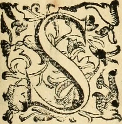 An illustration from Le fortificationi di Buonaiuto Lorini, nobile fiorentino ... : con l'aggiunta del sesto libro doue si mostra, con la scienza e con la pratica, l'ordine di fortificare le città & altri luoghi, con tutti gli auuertimenti, che più possono apportar benficio per la sicurtà delle fortezze .., 1609, leaf 170