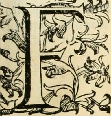 An illustration from Le fortificationi di Buonaiuto Lorini, nobile fiorentino ... : con l'aggiunta del sesto libro doue si mostra, con la scienza e con la pratica, l'ordine di fortificare le città & altri luoghi, con tutti gli auuertimenti, che più possono apportar benficio per la sicurtà delle fortezze .., 1609, leaf 172
