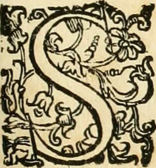 An illustration from Le fortificationi di Buonaiuto Lorini, nobile fiorentino ... : con l'aggiunta del sesto libro doue si mostra, con la scienza e con la pratica, l'ordine di fortificare le città & altri luoghi, con tutti gli auuertimenti, che più possono apportar benficio per la sicurtà delle fortezze .., 1609, leaf 174