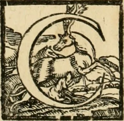 An illustration from Le fortificationi di Buonaiuto Lorini, nobile fiorentino ... : con l'aggiunta del sesto libro doue si mostra, con la scienza e con la pratica, l'ordine di fortificare le città & altri luoghi, con tutti gli auuertimenti, che più possono apportar benficio per la sicurtà delle fortezze .., 1609, leaf 177
