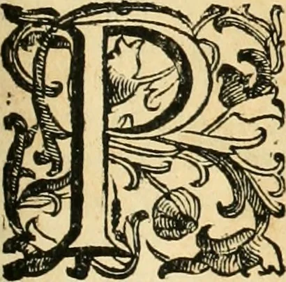 An illustration from Le fortificationi di Buonaiuto Lorini, nobile fiorentino ... : con l'aggiunta del sesto libro doue si mostra, con la scienza e con la pratica, l'ordine di fortificare le città & altri luoghi, con tutti gli auuertimenti, che più possono apportar benficio per la sicurtà delle fortezze .., 1609, leaf 184