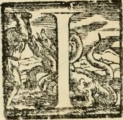 An illustration from Le fortificationi di Buonaiuto Lorini, nobile fiorentino ... : con l'aggiunta del sesto libro doue si mostra, con la scienza e con la pratica, l'ordine di fortificare le città & altri luoghi, con tutti gli auuertimenti, che più possono apportar benficio per la sicurtà delle fortezze .., 1609, leaf 187