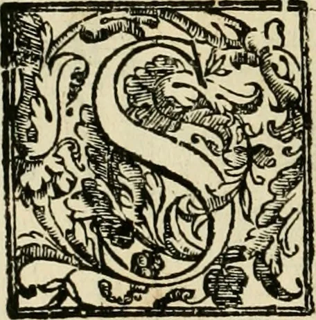 An illustration from Le fortificationi di Buonaiuto Lorini, nobile fiorentino ... : con l'aggiunta del sesto libro doue si mostra, con la scienza e con la pratica, l'ordine di fortificare le città & altri luoghi, con tutti gli auuertimenti, che più possono apportar benficio per la sicurtà delle fortezze .., 1609, leaf 197