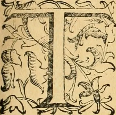 An illustration from Le fortificationi di Buonaiuto Lorini, nobile fiorentino ... : con l'aggiunta del sesto libro doue si mostra, con la scienza e con la pratica, l'ordine di fortificare le città & altri luoghi, con tutti gli auuertimenti, che più possono apportar benficio per la sicurtà delle fortezze .., 1609, leaf 220